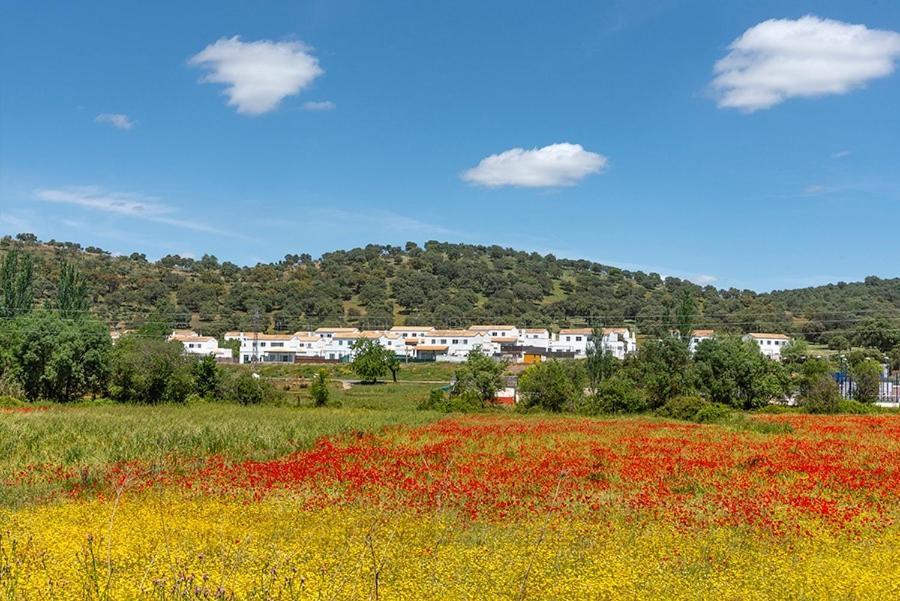 Casa Rural Nacimiento Del Hueznar - Tomillo 17 San Nicolás del Puerto Eksteriør billede
