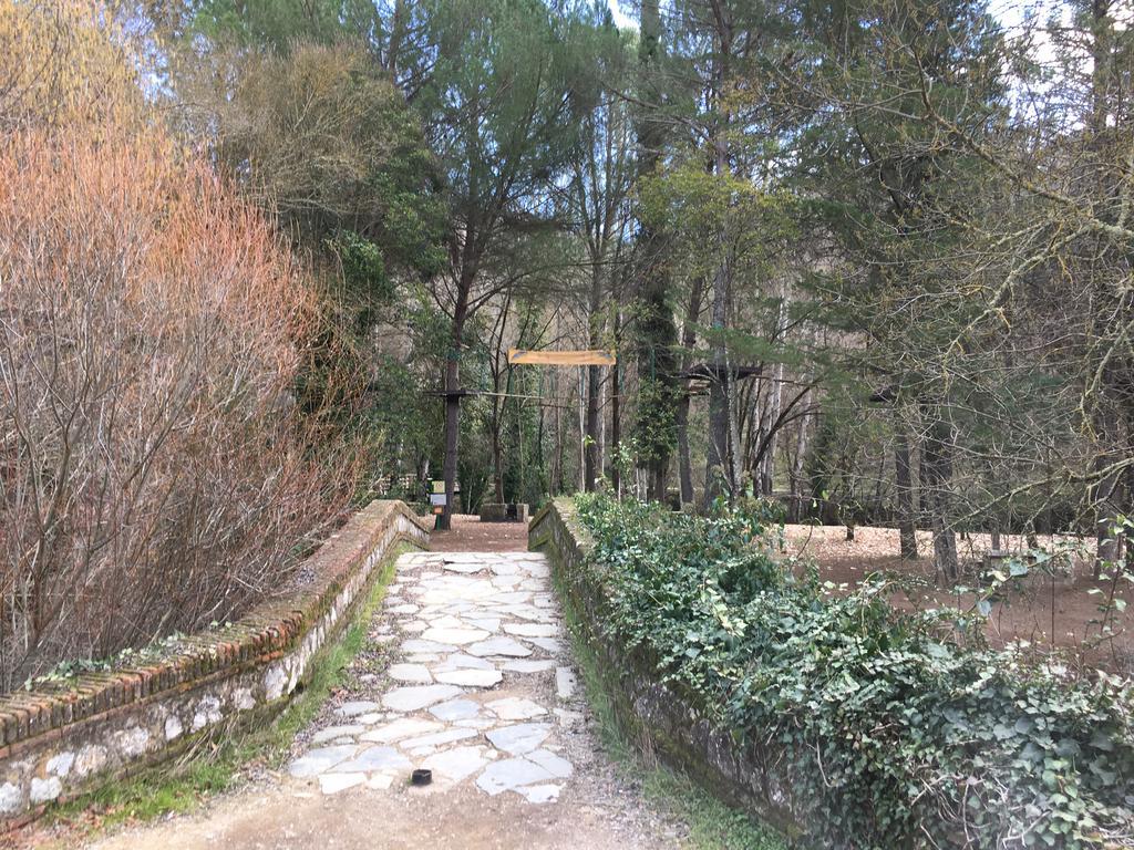 Casa Rural Nacimiento Del Hueznar - Tomillo 17 San Nicolás del Puerto Eksteriør billede